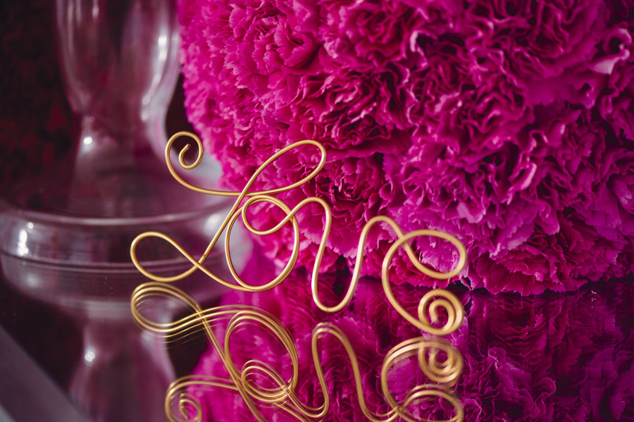 View More: http://justinandmary.pass.us/indhugregwedding