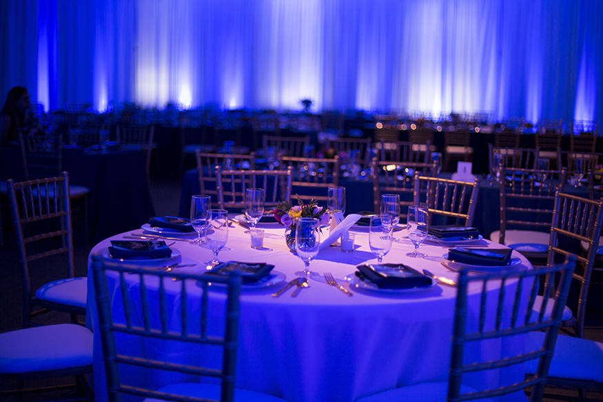 FundraiserGala_1.jpg