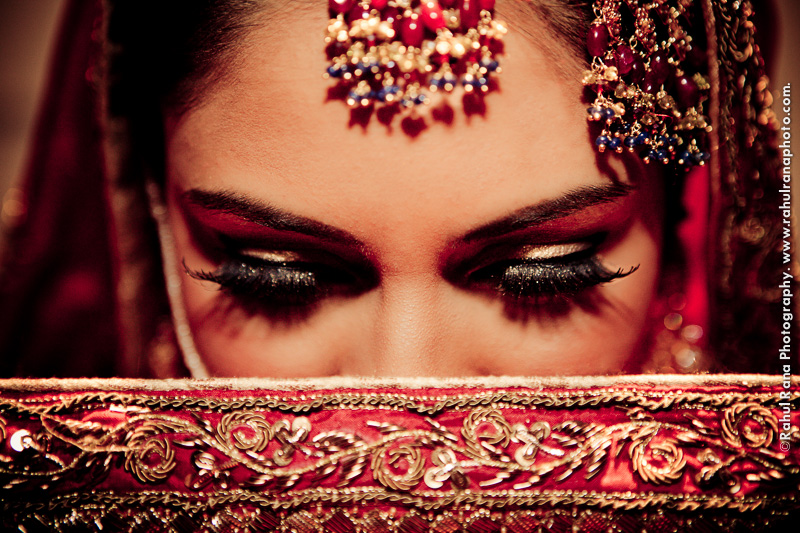 Rahul-Rana-Photography-Chicago-06.jpg