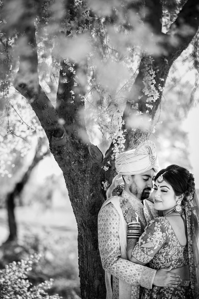 Abha & Abhishek